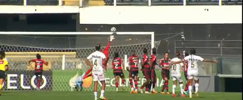 Santos x Flamengo, Brasileir&atilde;o feminino &mdash; Foto: reprodu&ccedil;&atilde;o/v&iacute;deo
