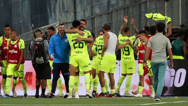 Épica virada do Palmeiras contra o Botafogo: Cinco histórias rumo ao título.