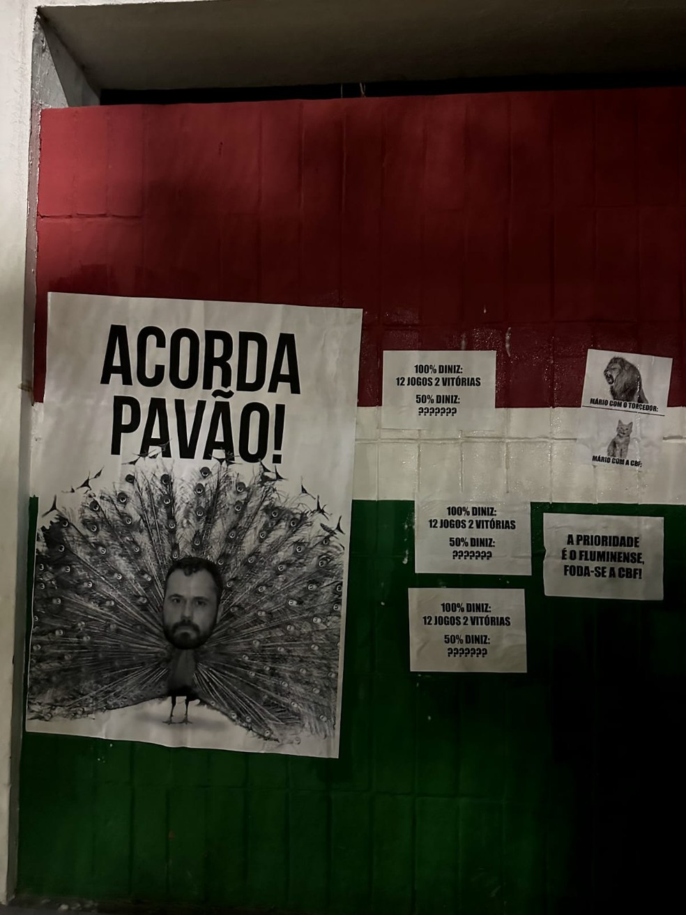 "Acorda Pavão" protesto contra o presidente do Fluminense — Foto: Reprodução