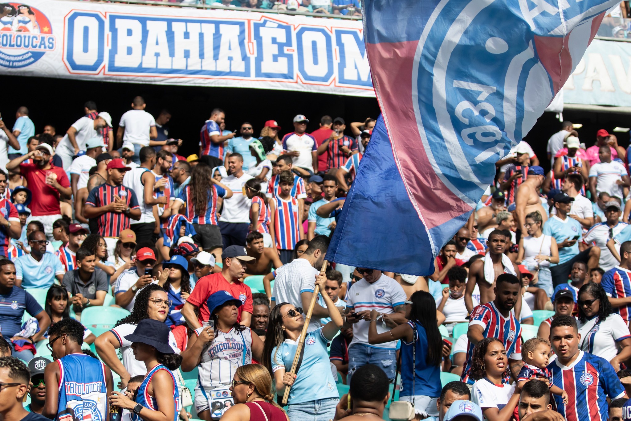 Bahia x Palmeiras: dicas, palpites e chances no Brasileirão