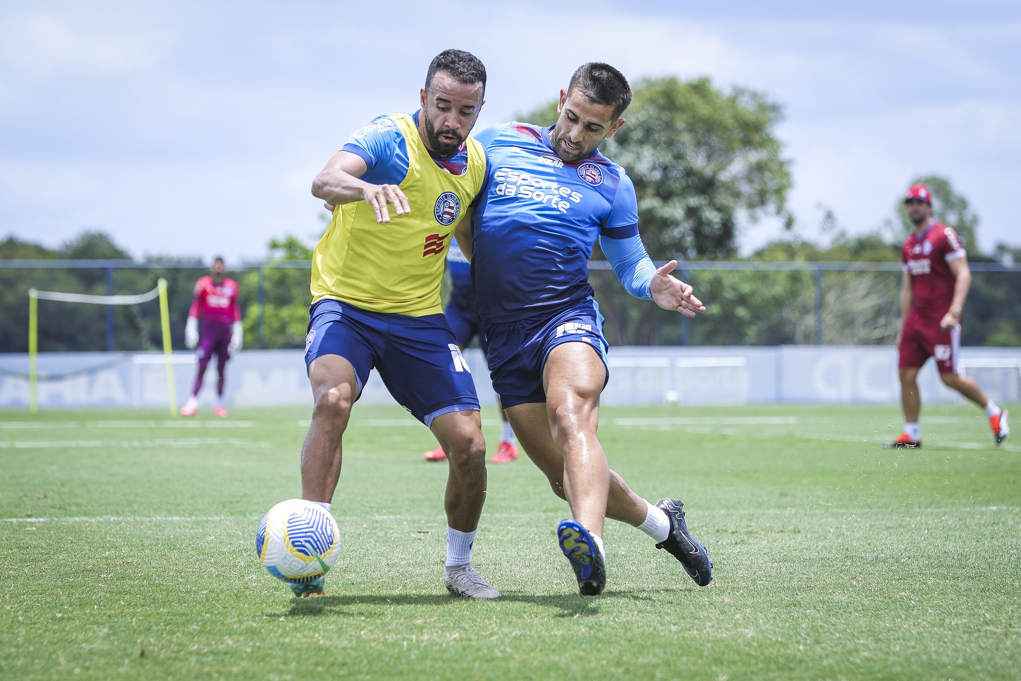 Caio Alexandre projeta dupla inédita de titular com Acevedo no Bahia: "Elevar o nível"