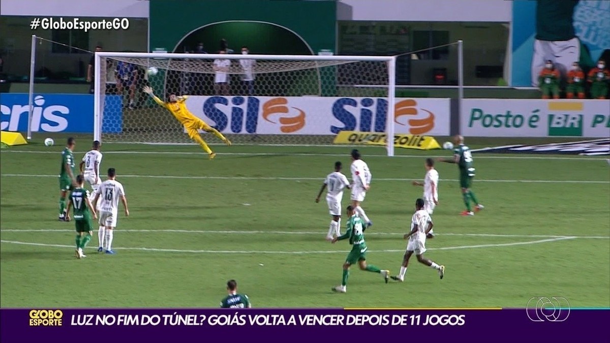 GOAL Brasil on X: Estes são todos os campeões da Copa do Brasil! Pode  marcar mais uma para o Palmeiras! 🇳🇬 É a quarta taça para o Verdão! E a  galeria de