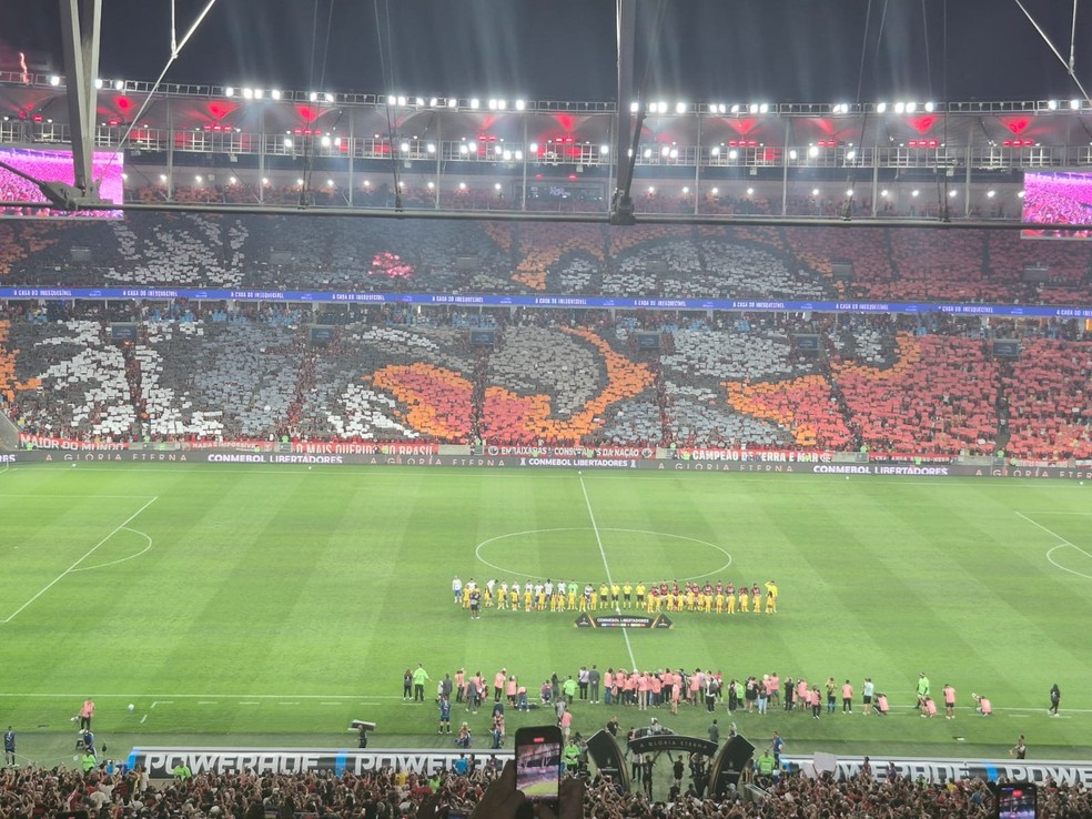 Mosaico com urubu da torcida do Flamengo contra o Cruzeiro � Foto: Thiago Lima / ge