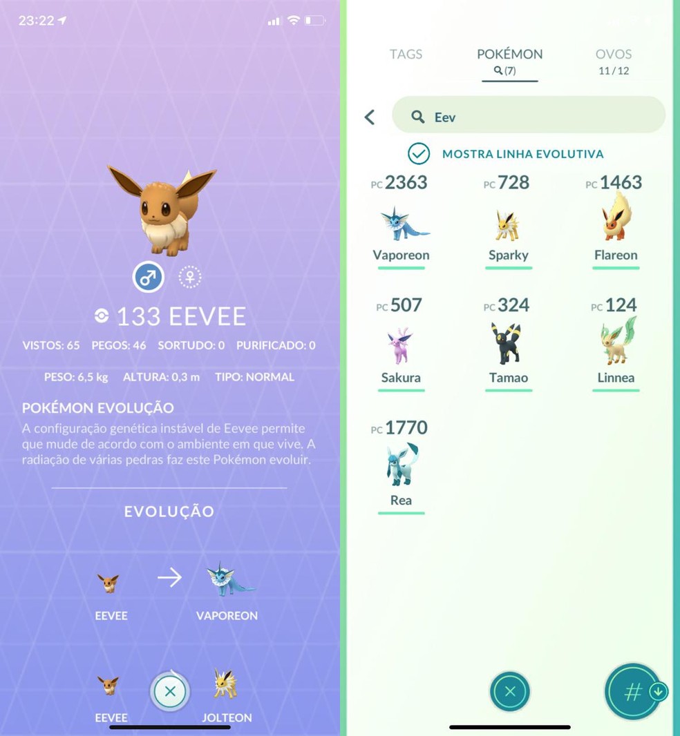 Pokémon GO: como evoluir Eevee e nomes das evoluções, esports