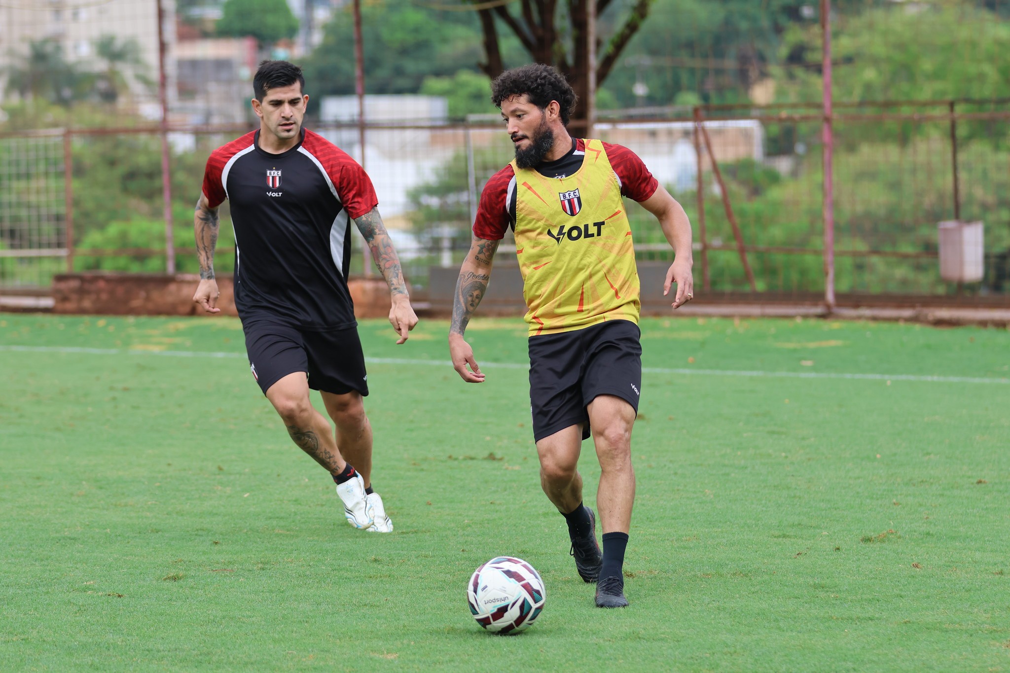 Botafogo-SP pode ter até três mudanças contra Ponte; veja possível formação
