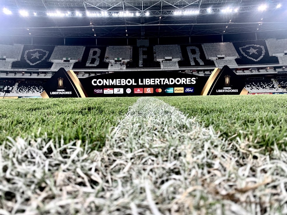 Fluminense x Olimpia - estádio Nilton Santos - Libertadores 2022 — Foto: André Durão