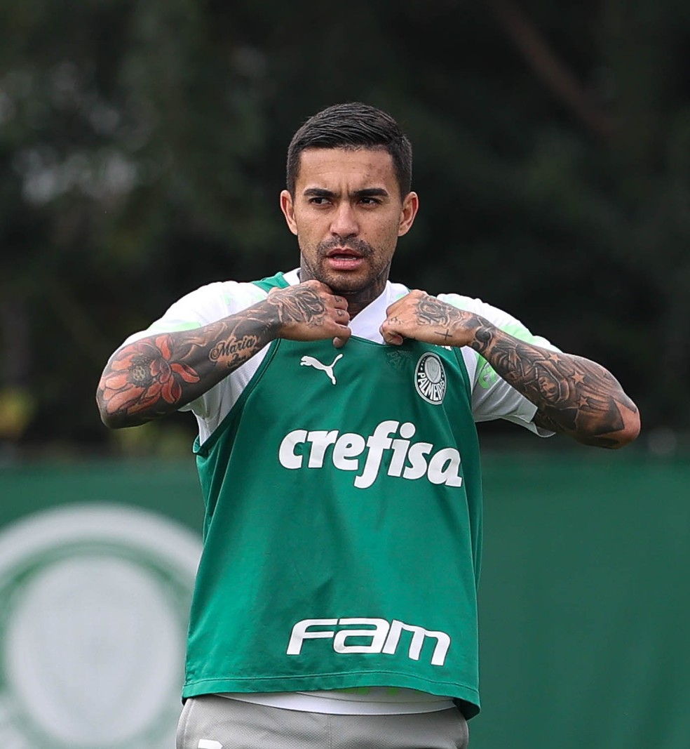 Dudu em treino do Palmeiras na Academia de Futebol — Foto: Cesar Greco/Palmeiras