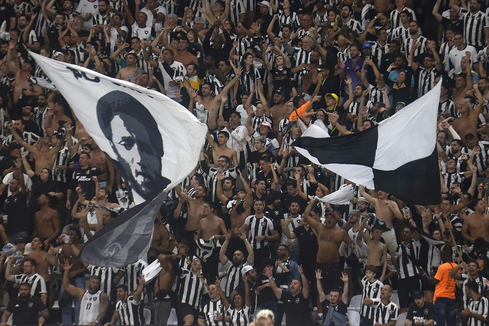 Torcida do Botafogo comemorando gol em Botafogo e Palmeiras — Foto: Vítor Silva/Botafogo