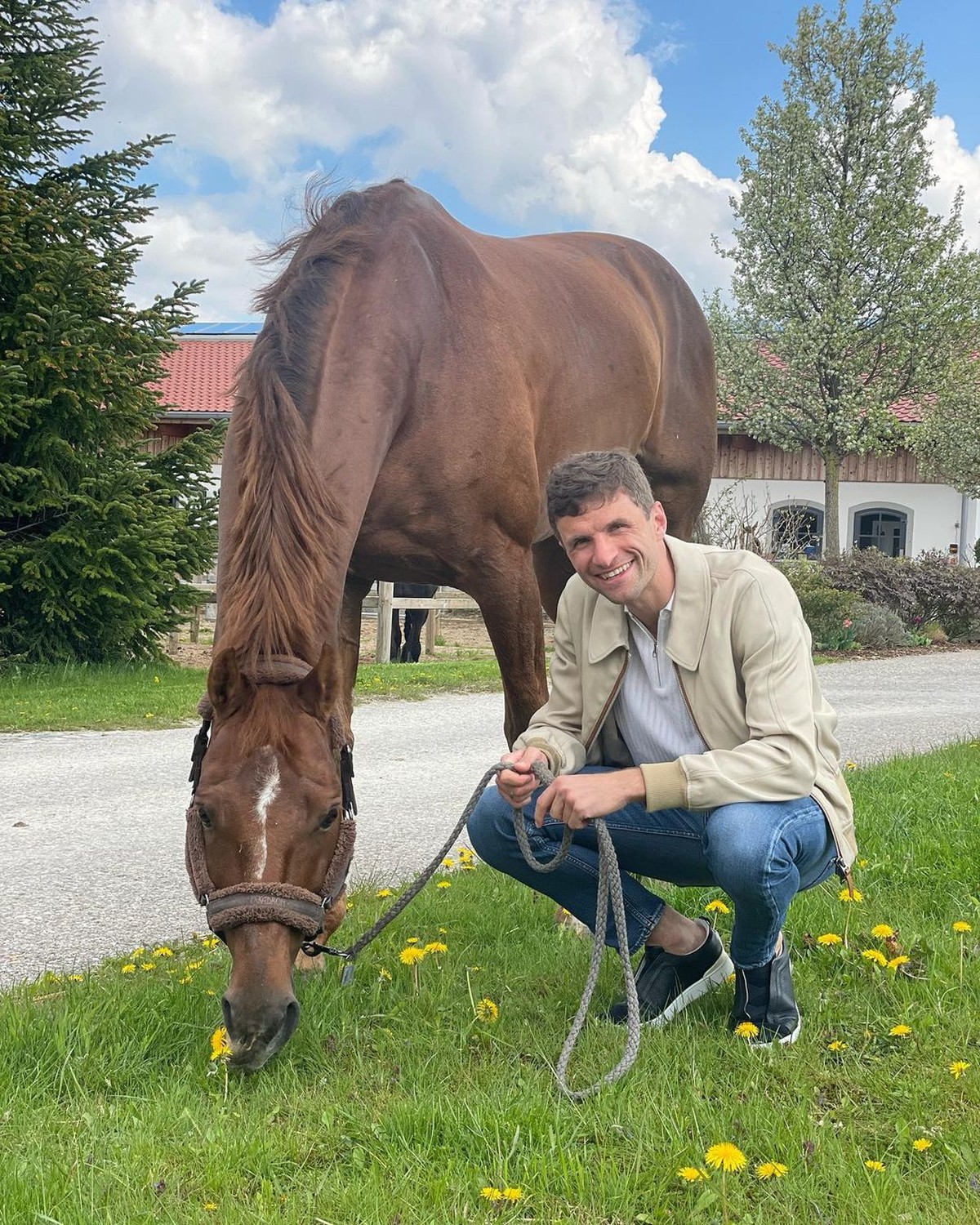 Cavalo é jogado de ponte na Zona da Mata de PE; veja vídeo - Blog