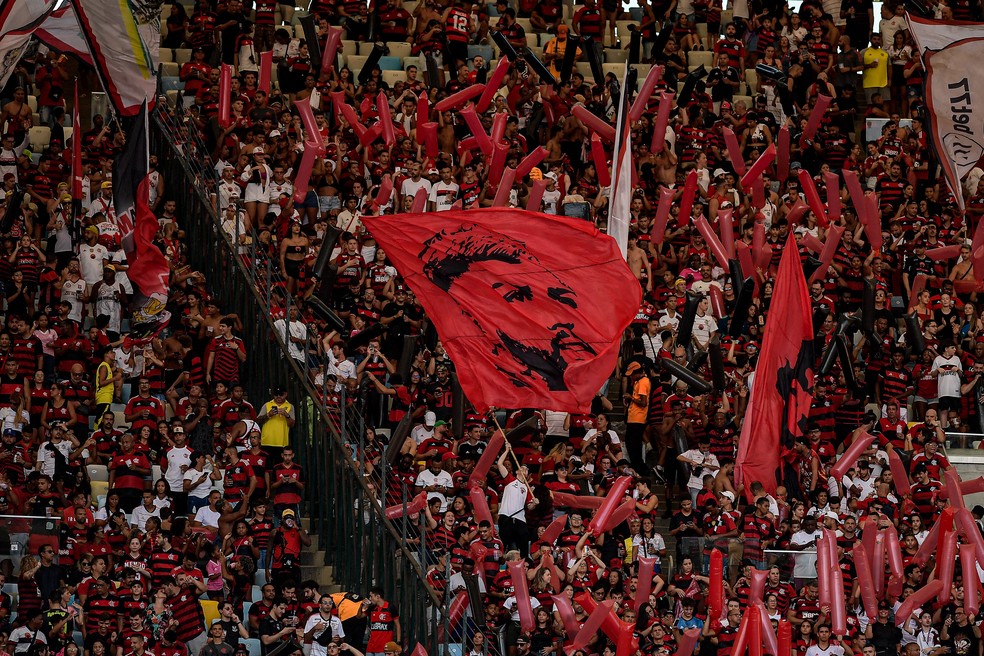 Torcida do Flamengo teve crescimento de um ponto percentual — Foto: Agif