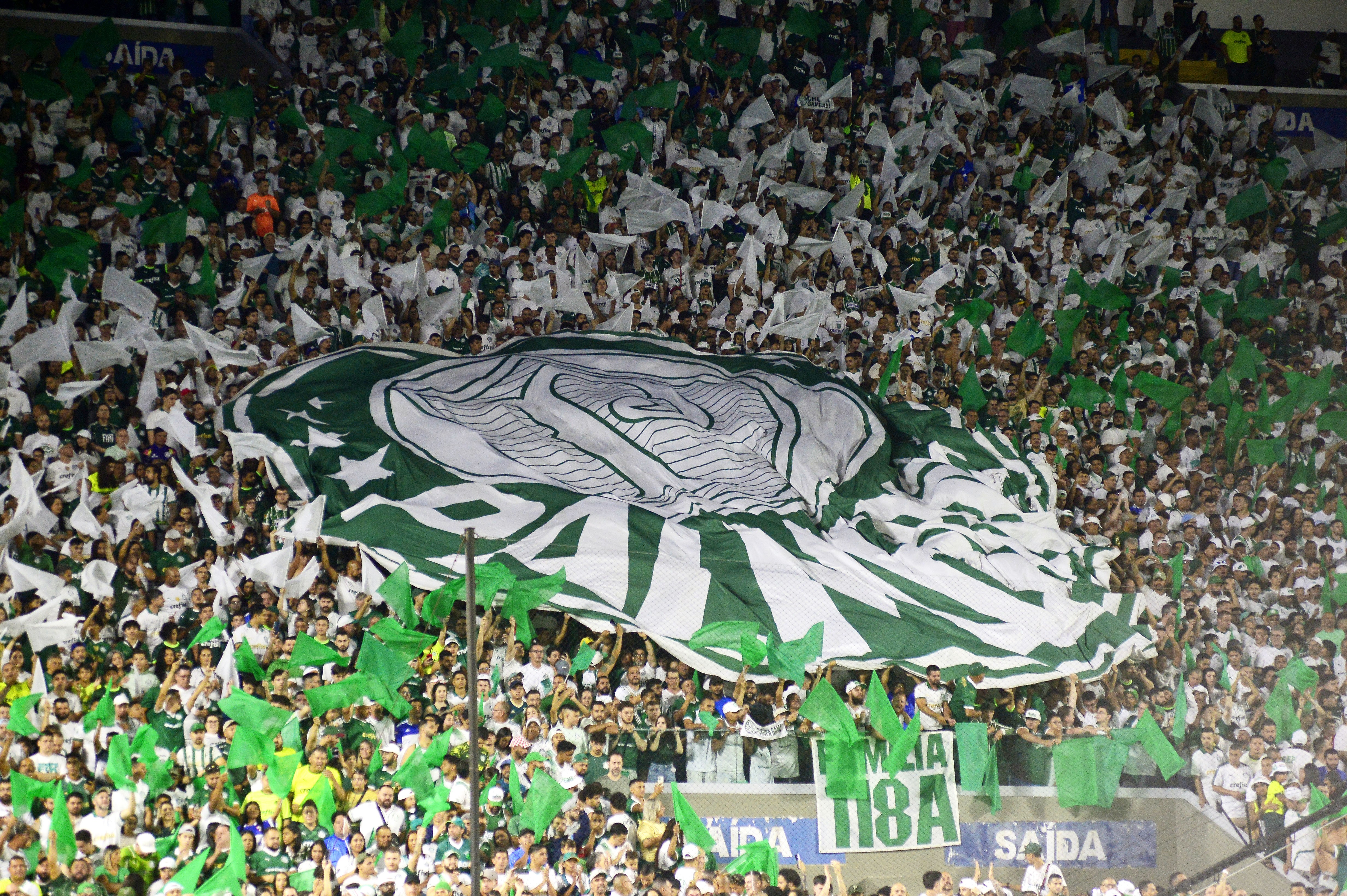 Palmeiras alcança recorde de arrecadação com programa Avanti em março