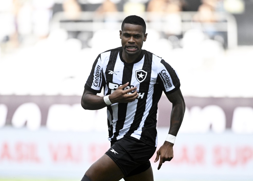 Júnior Santos comemora gol do Botafogo sobre o Bangu — Foto: André Durão / ge