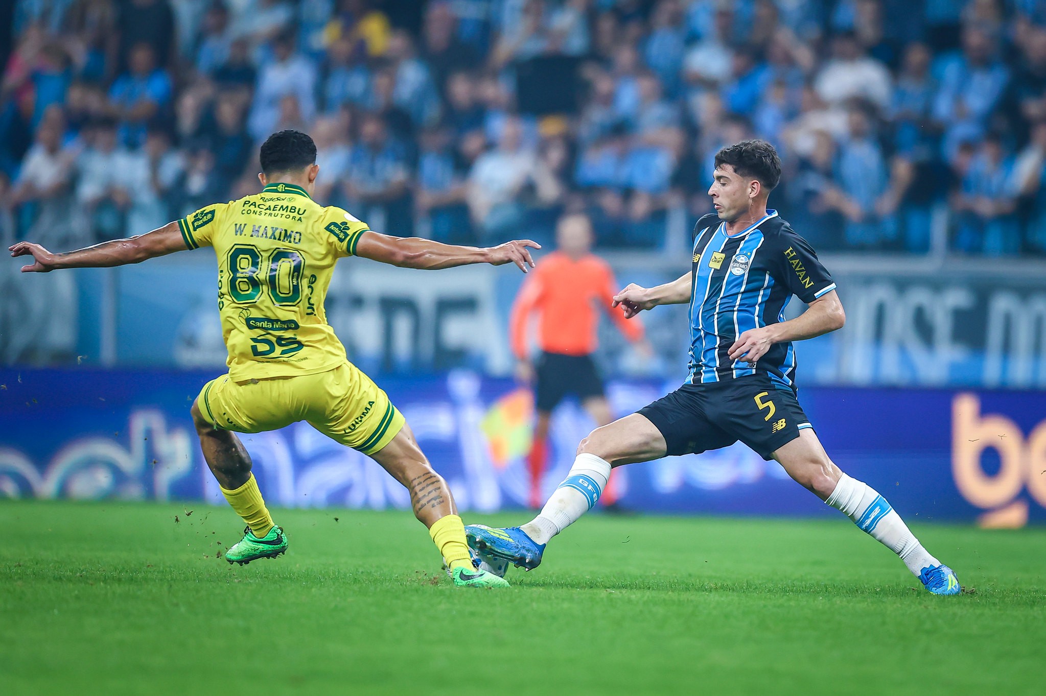 imagem