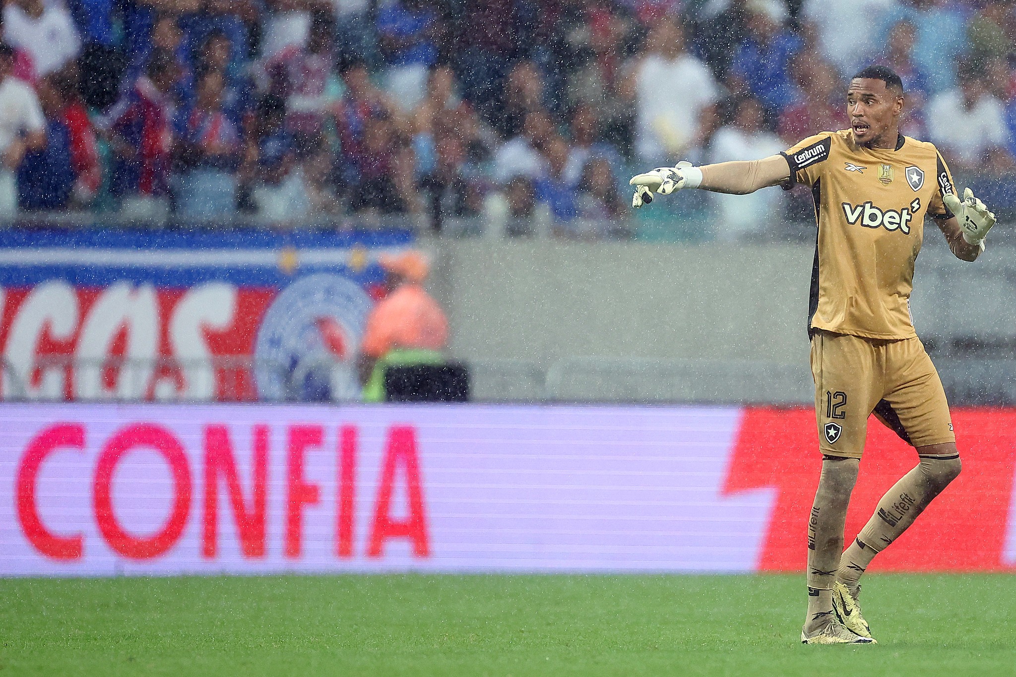 Goleiro John do Botafogo em ação durante o jogo contra o Bahia