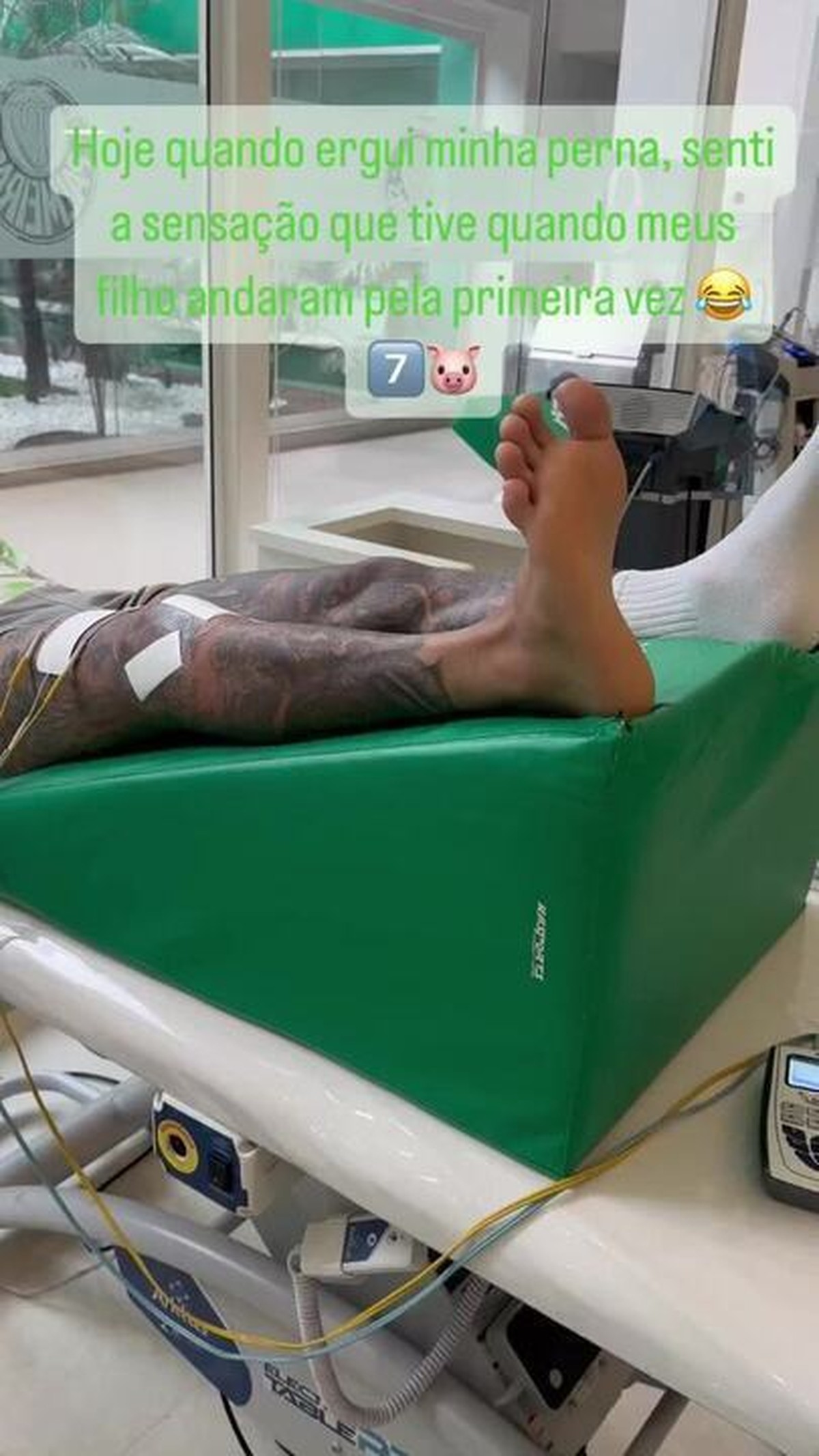 Dudu comemora evolução no Palmeiras: 