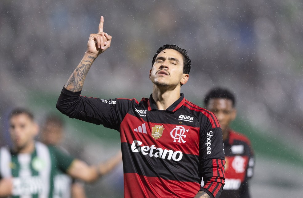 Pedro, do Flamengo — Foto: Liamara Polli/AGIF