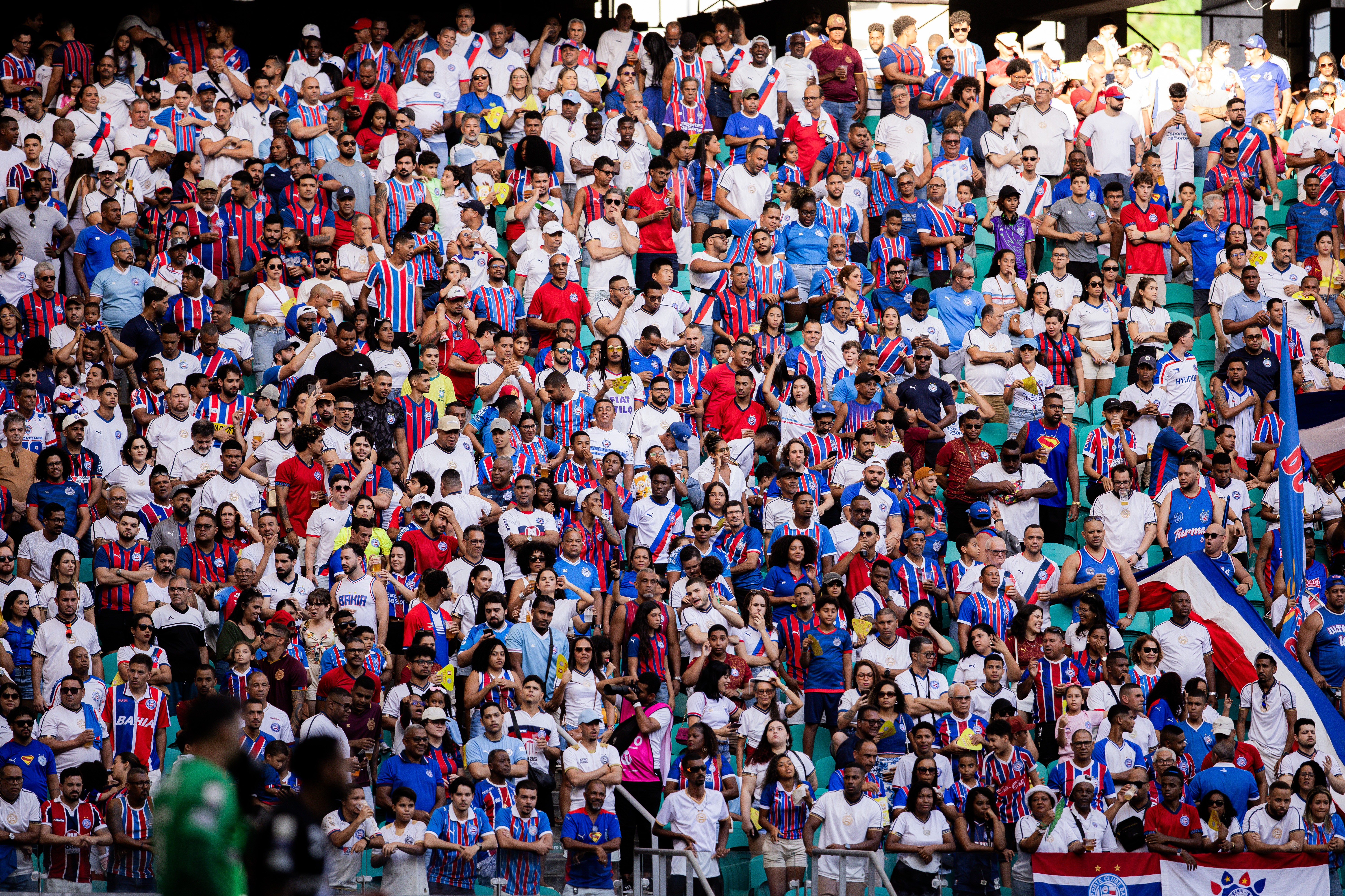 Palpites e dicas para Bahia x Internacional pelo Brasileirão