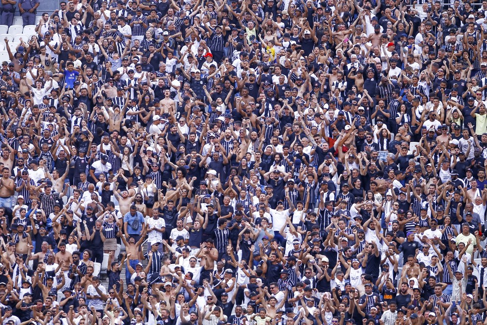 Torcida do Corinthians em jogo contra o Cruzeiro — Foto: Marco Miatelo/AGIF