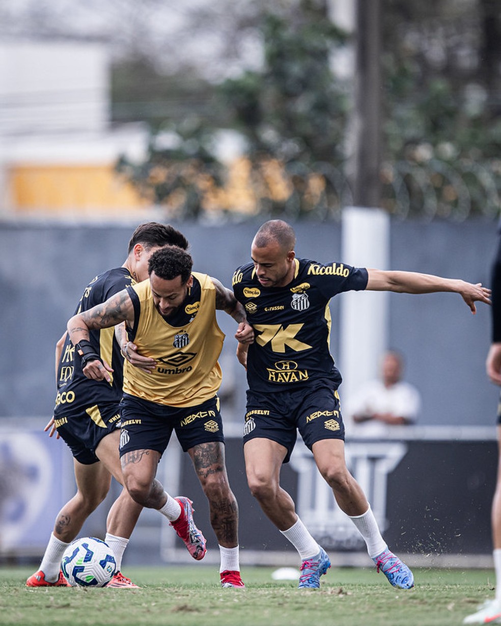 Treino do Santos: Vojvoda pode promover estreia de zagueiro contra o Atlético-MG