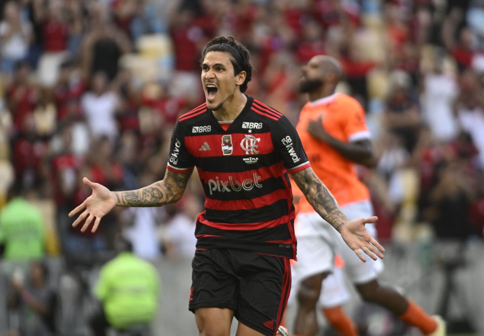 Pedro comemora um gol do Flamengo contra o Nava Iguaçu — Foto: André Durão