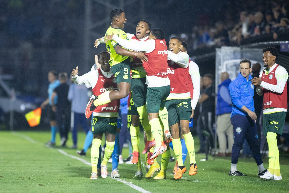 Bragantino x Palmeiras comemoração gol Endrick — Foto: Fabio Moreira Pinto/AGIF