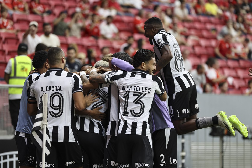 Jogadores do Botafogo comemoram gol de Danilo contra o Inter — Foto: Mateus Bonomi/AGIF