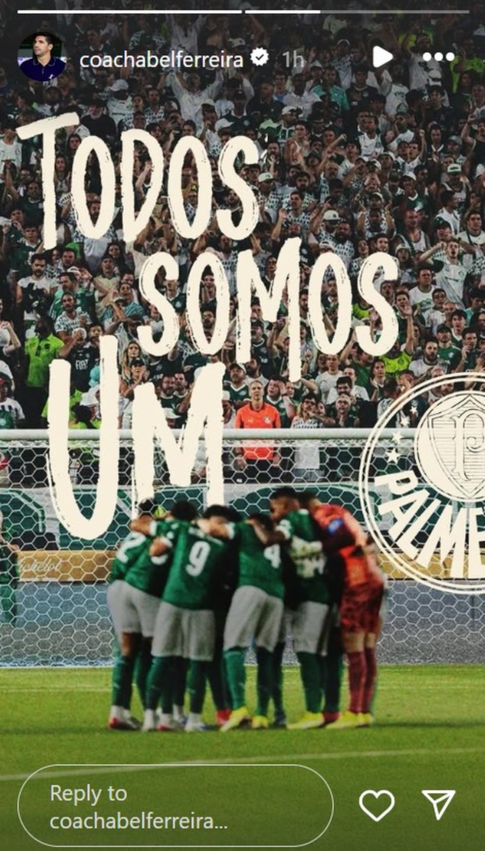 Abel publica foto de Todos Somos Um no Palmeiras — Foto: Reprodução Instagram