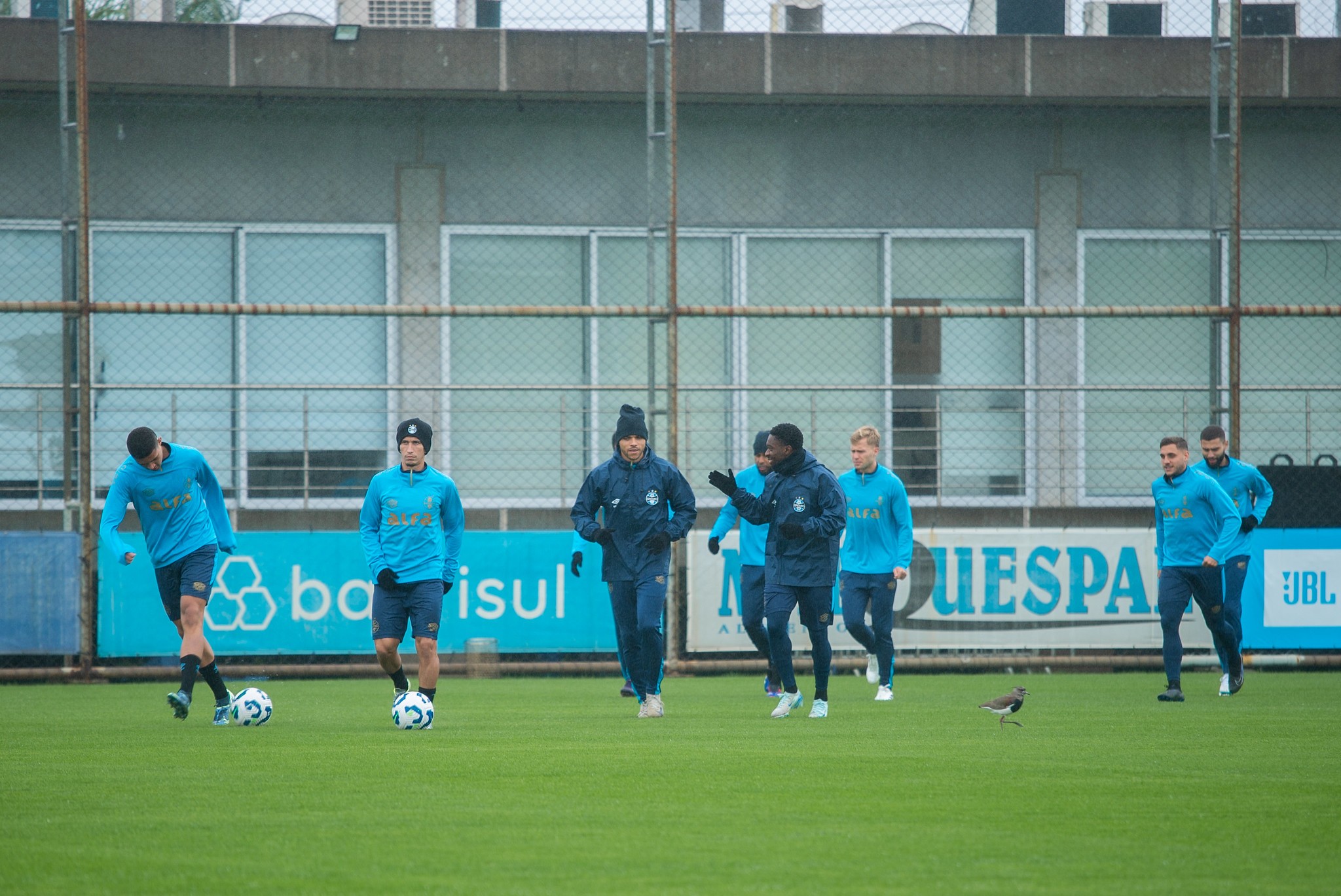 Veja a lista de relacionados do Grêmio para enfrentar o Vasco