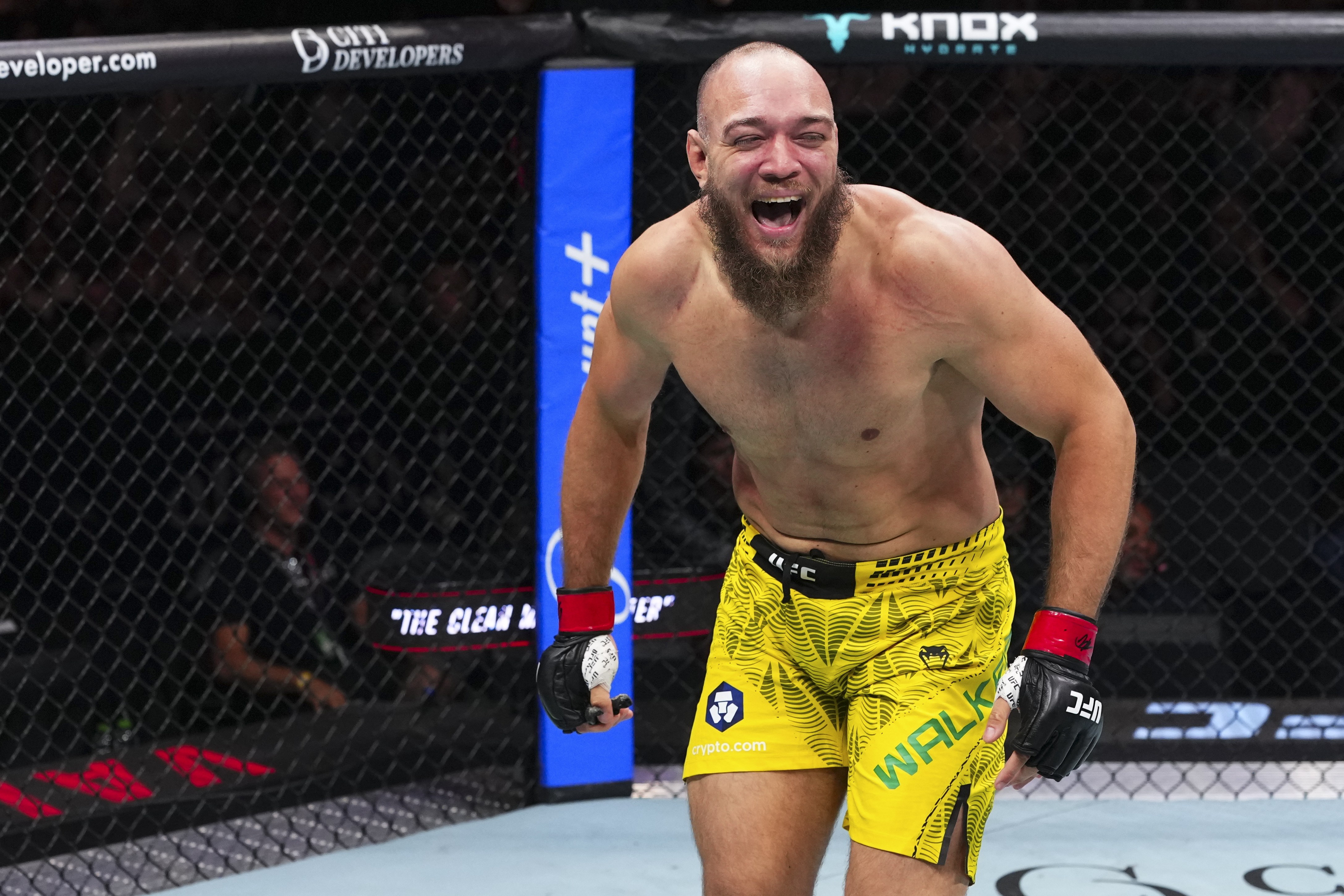Valter Walker vence mais uma e desafia árbitro após finalização no UFC