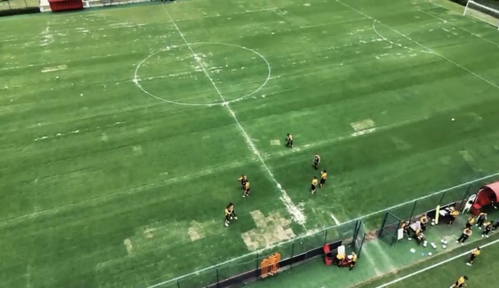 Imagens exclusivas de Cotia — Foto: Reprodução