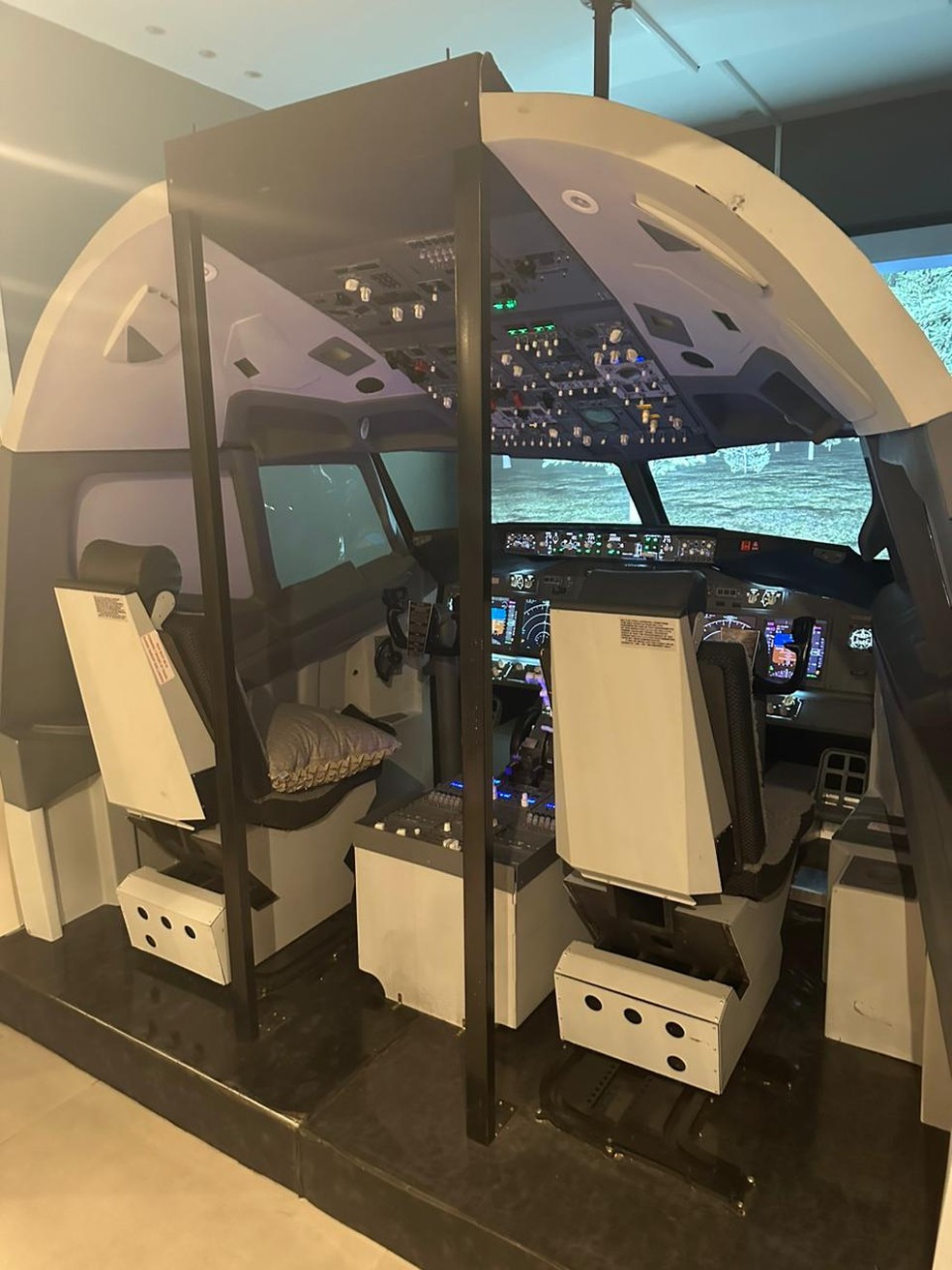 Os 6 melhores simuladores de voo de PC para você sair pilotando! - Liga dos  Games