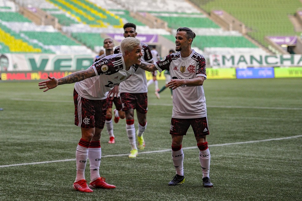 Pedro comemora seu gol pelo Flamengo contra o Palmeiras — Foto: Marcelo Cortes/Flamengo