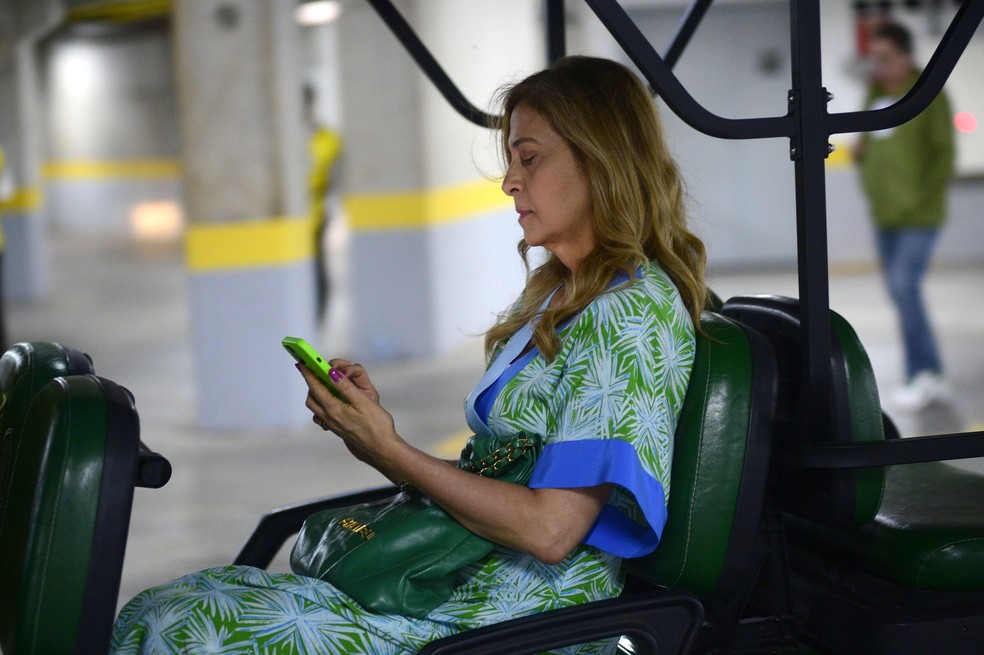 Leila Pereira antes de Palmeiras x São Paulo — Foto: Marcos Ribolli