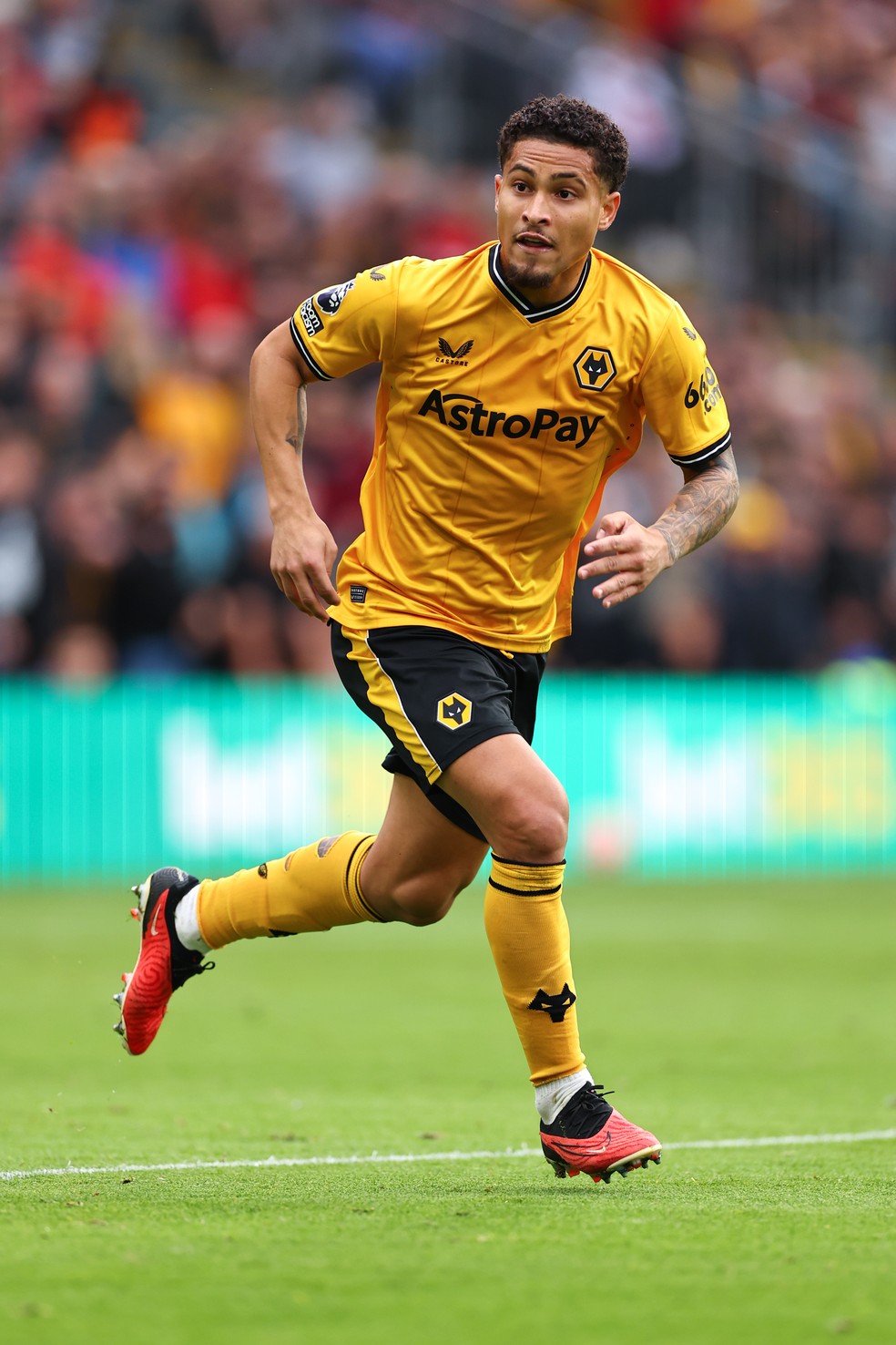 Joao Gomes em ação pelo Wolverhampton — Foto: Robbie Jay Barratt - AMA/Getty Images