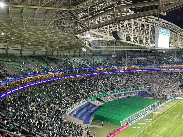 Palmeiras registra pior público do ano jogando em casa; veja ranking