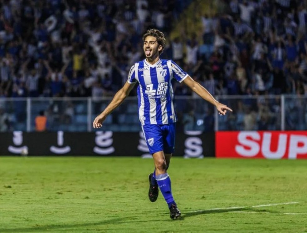 Avaí x América-MG — Foto: Fabiano Rateke / Avaí F.C.