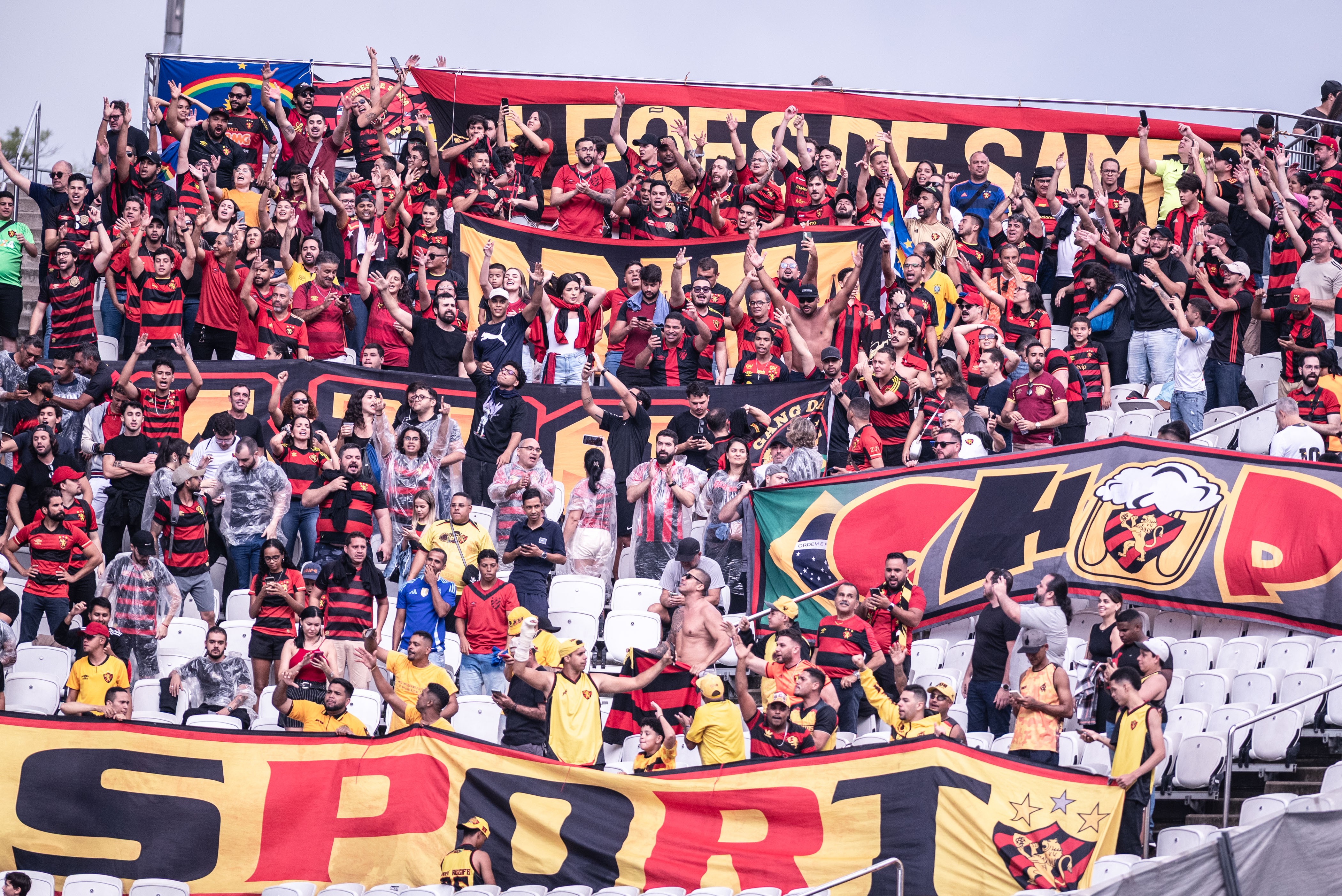 Sport x Fluminense: dicas, palpites e chances no Brasileirão