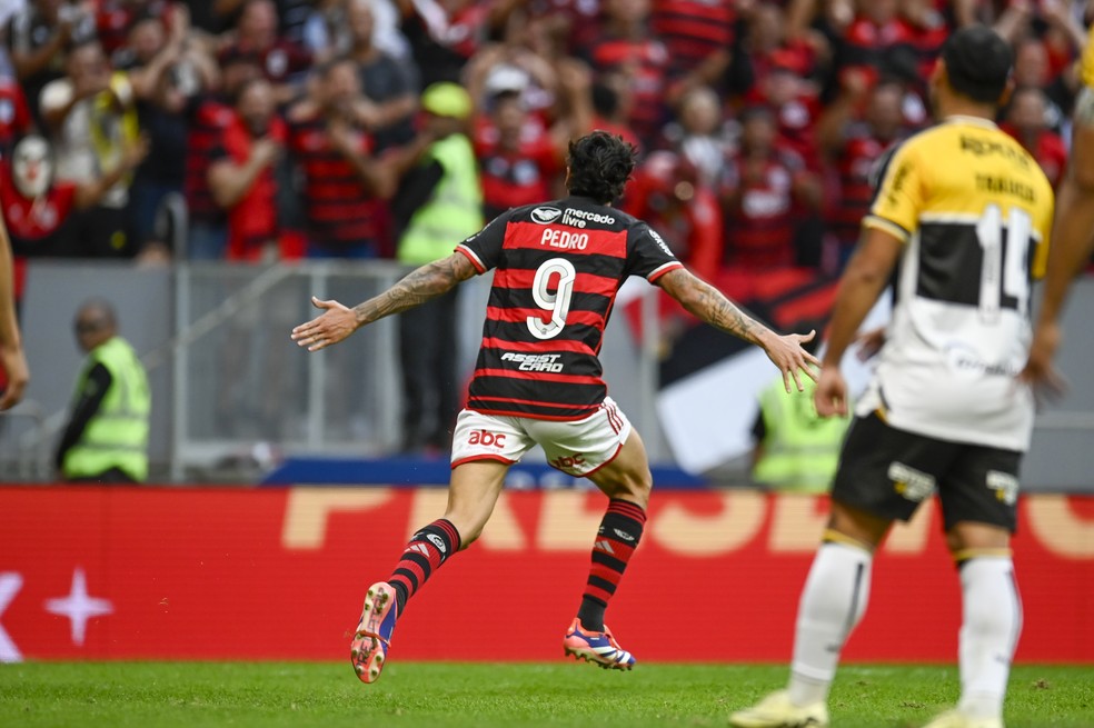 Pedro comemora gol do Flamengo contra o Criciúma — Foto: Marcelo Cortes / CRF