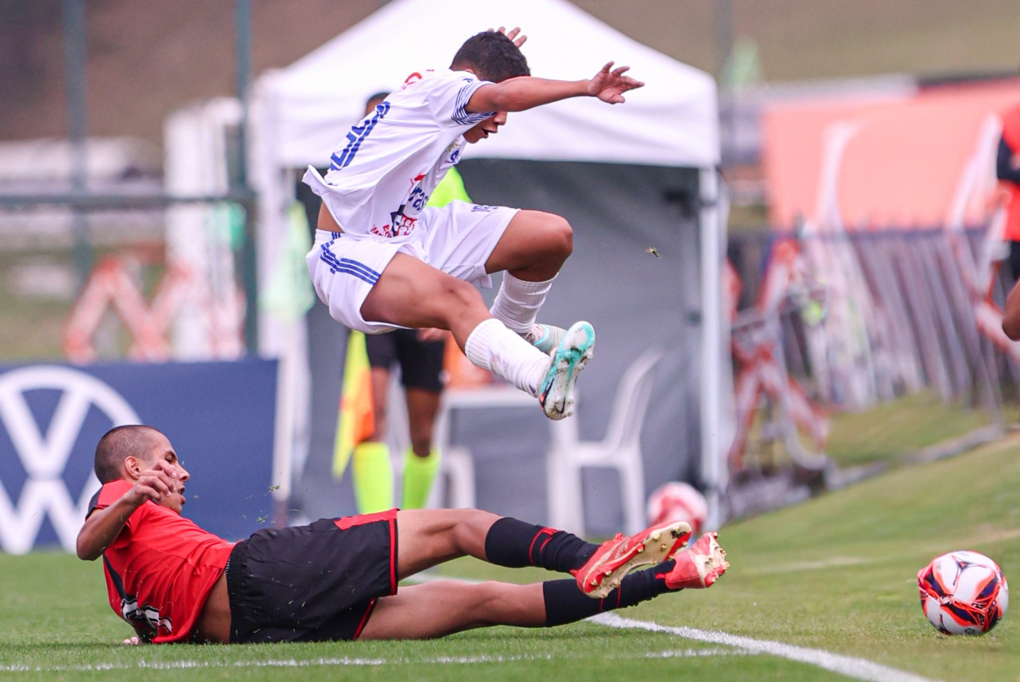 imagem