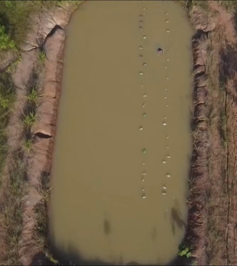 Paratleta Iandra Reis treina em açude com 12 metros de largura e 25 metros de comprimento  — Foto: Reprodução/Rede Amazônica Acre