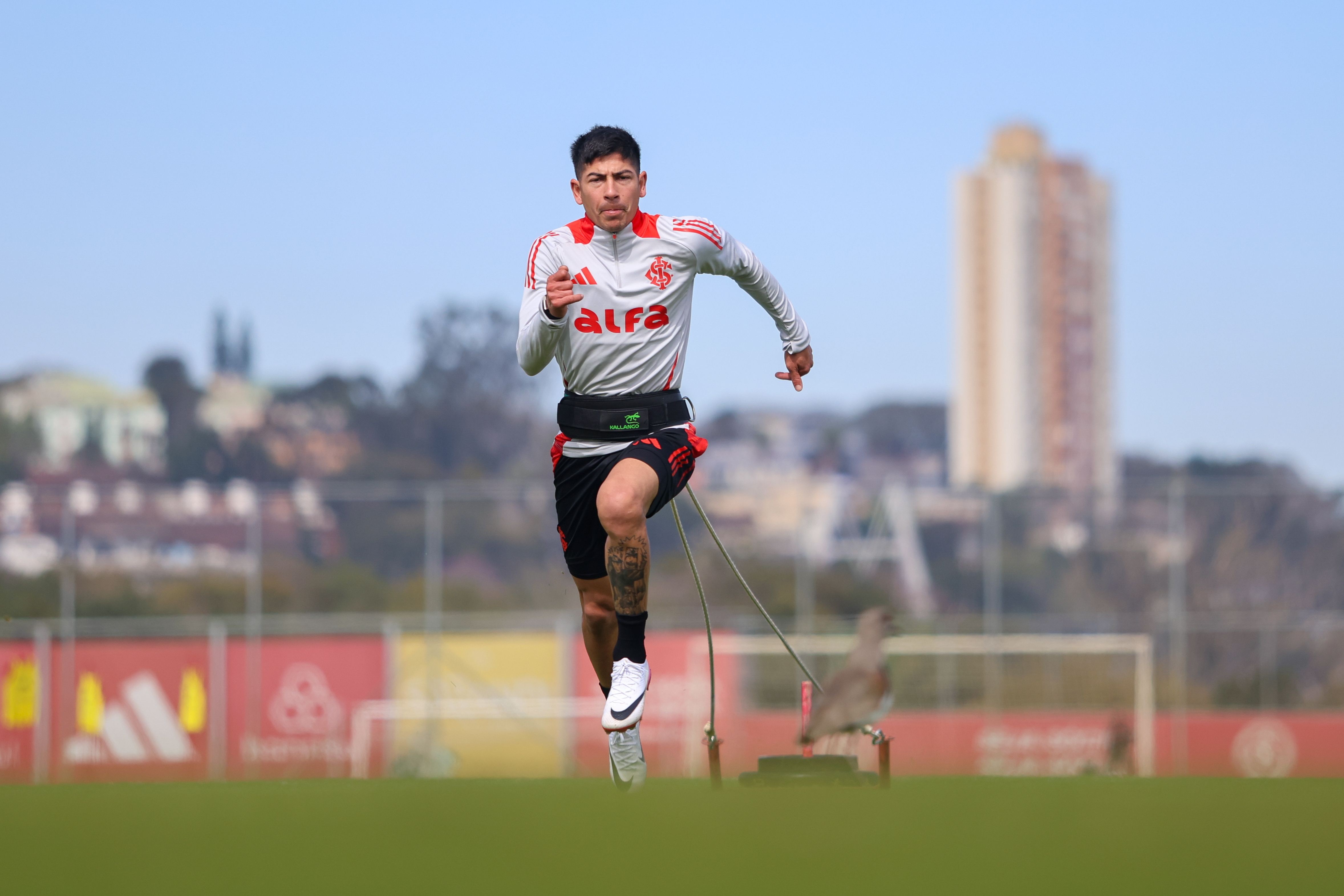 imagem