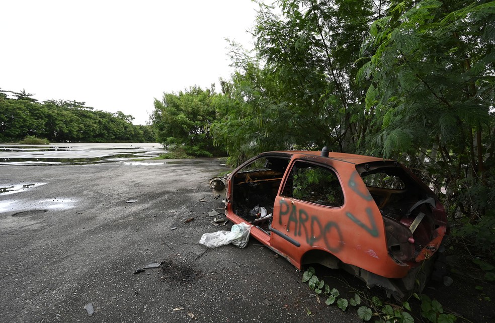 Carro destruído e abandonado no Parque dos Atletas — Foto: André Durão