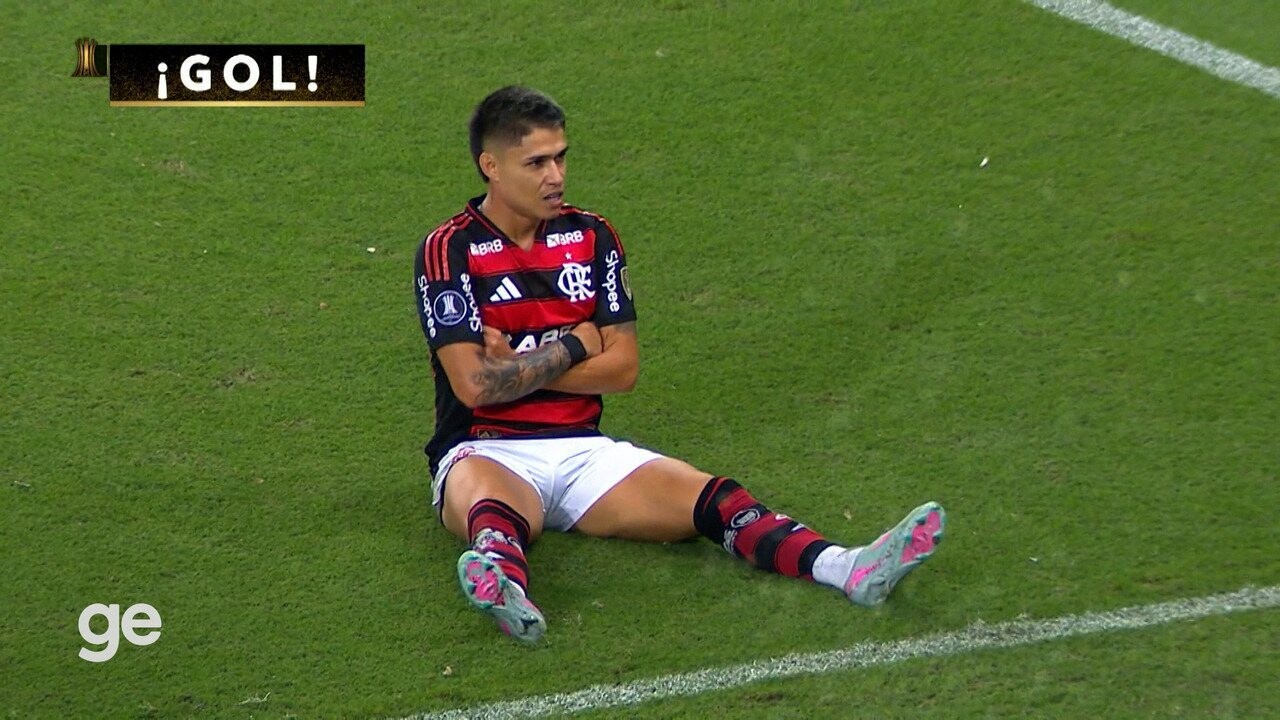 Técnico da LDU destaca superioridade do Flamengo em partida da Libertadores.