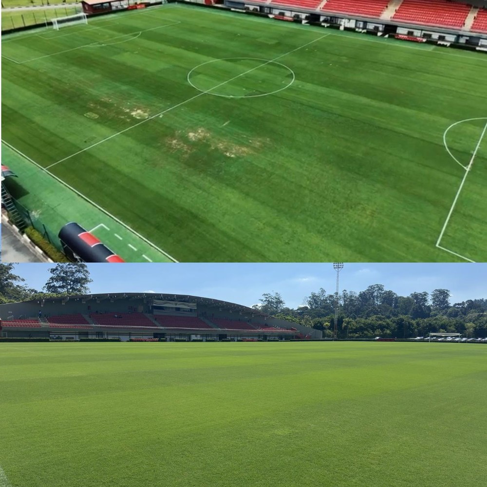 Cotia recupera gramados após crise e aponta erro de comunicação com o profissional