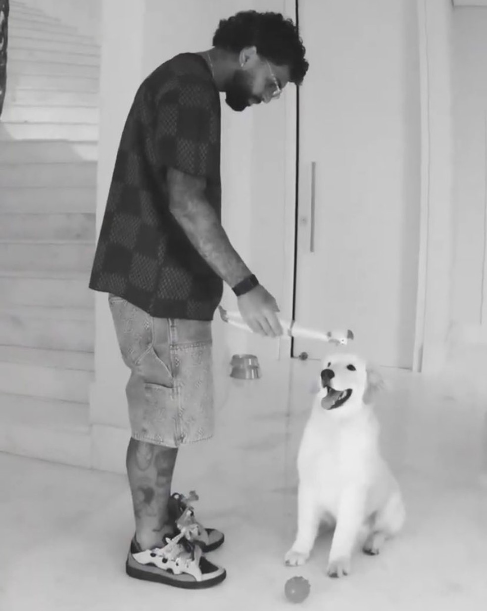 Gabigol dá galinha de brinquedo ao cachorro dele — Foto: Reprodução