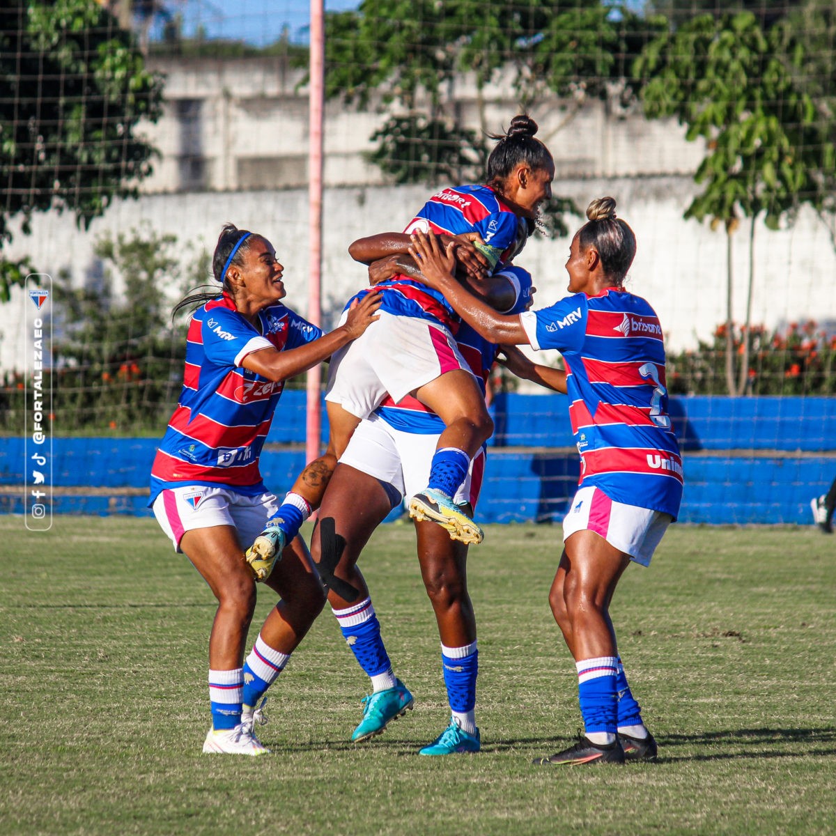 Touro invade campo durante partida de rugby na França; veja