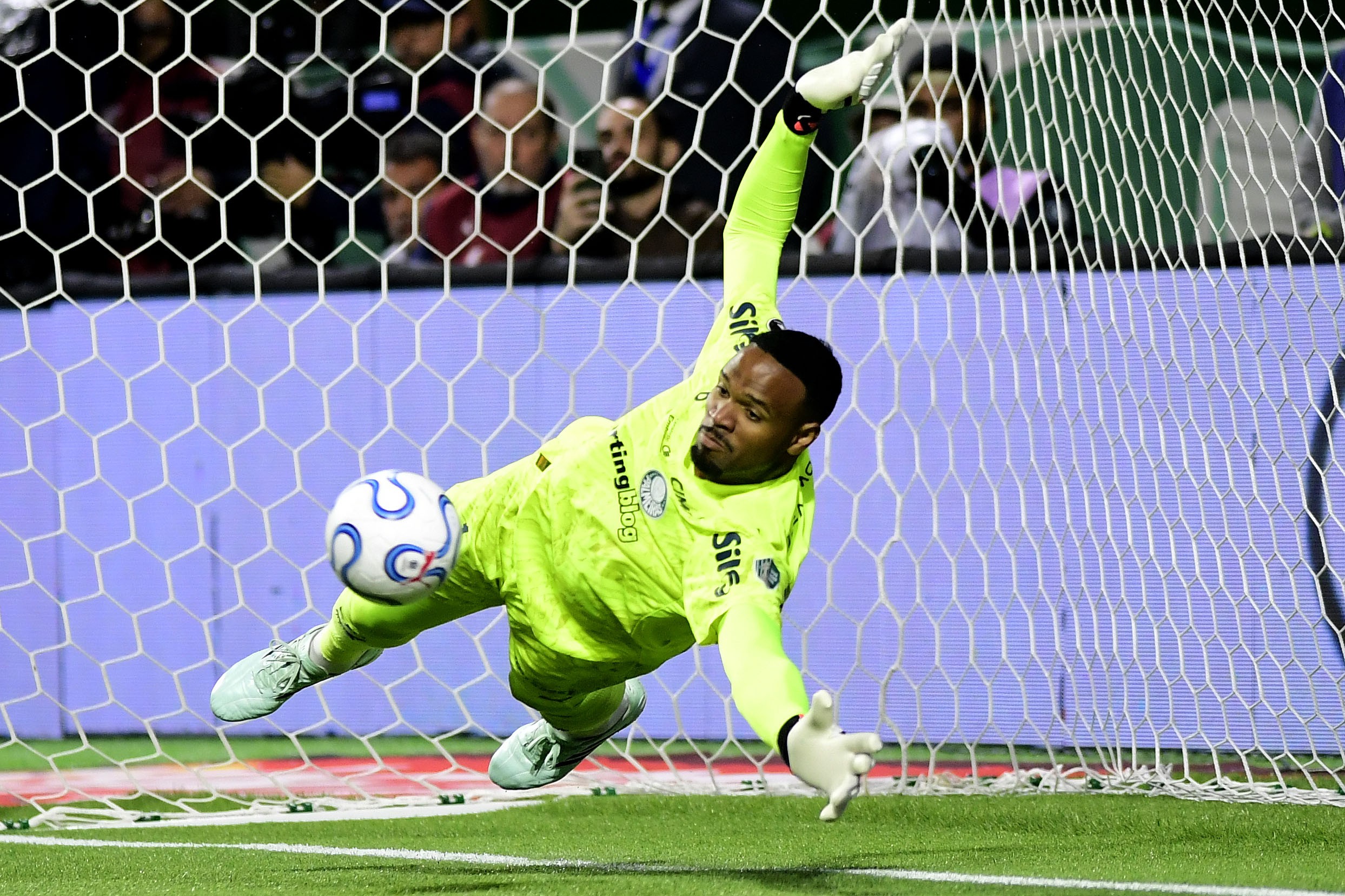 Carlos Miguel iguala marca que Palmeiras não atingia na Libertadores desde Marcos