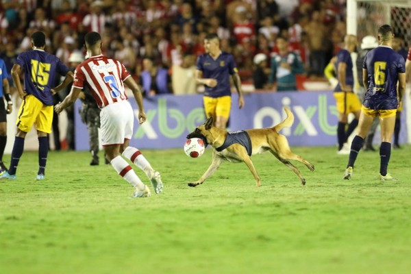 Cachorro invade campo e rouba bola durante jogo de futebol no México