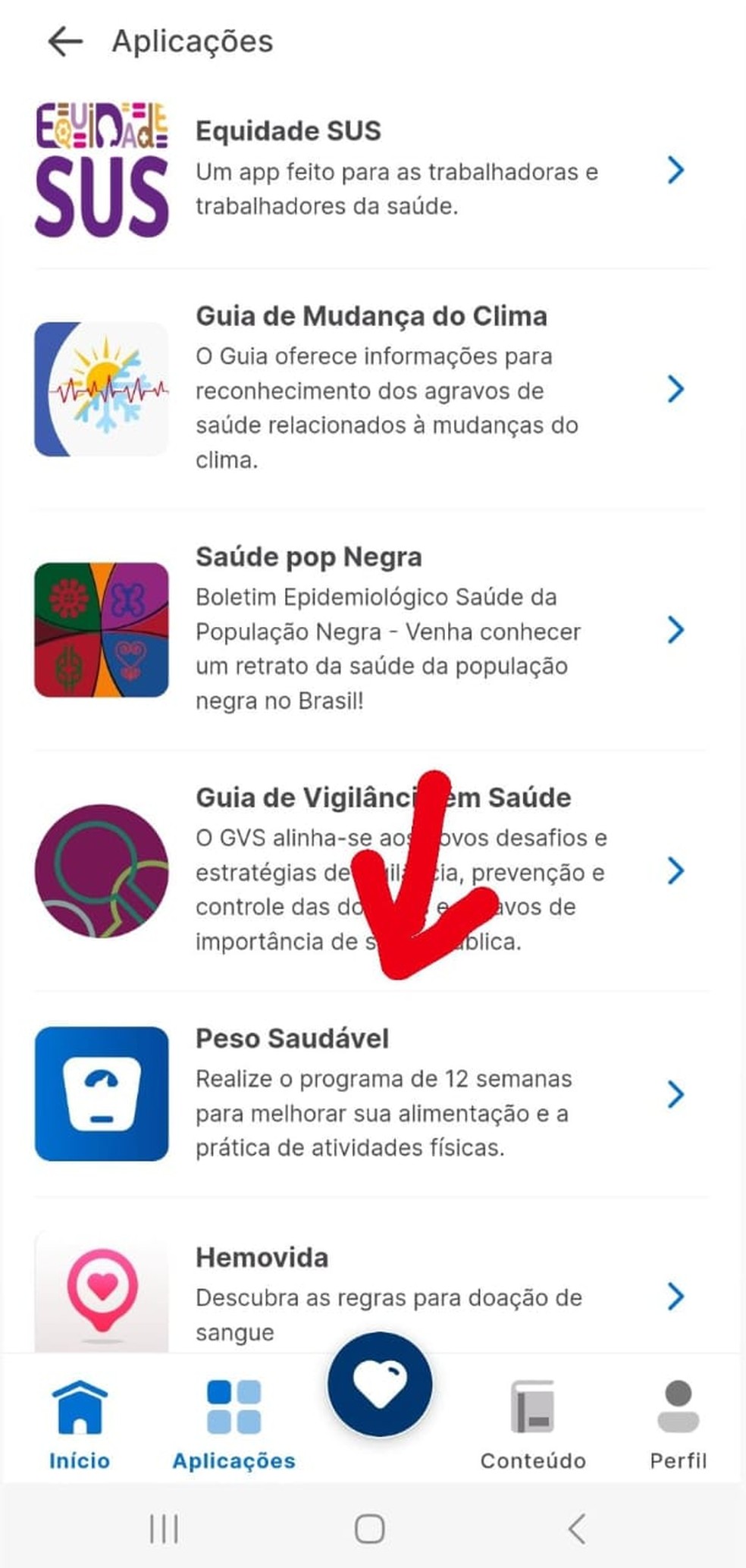 Clique em "Peso Saudável" para entrar no programa — Foto: Reprodução