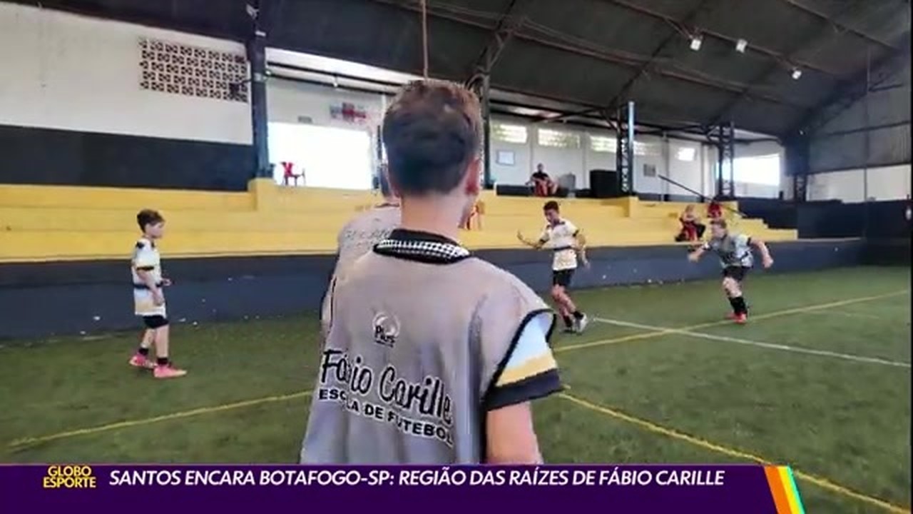 Santos encara Botafogo-SP: região das raízespix futebol comFábio Carille